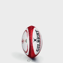 WALES RUGBY BALL MINI